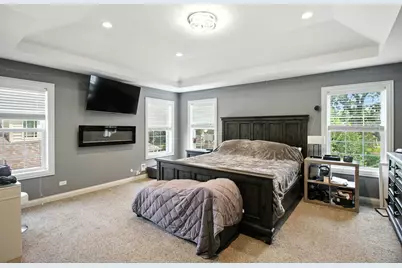 6613 Carl Court, Woodridge, IL 60517 - Photo 10