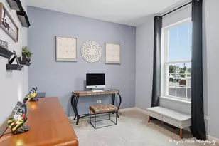 9186 Ritz Ct, Huntley, IL 60142 - Photo 18