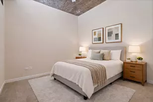 1033 W 14th Pl, Chicago, IL 60608 - Photo 16