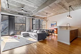 1033 W 14th Pl, Chicago, IL 60608 - Photo 2