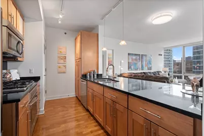 505 N McClurg Court #3801, Chicago, IL 60611 - Photo 14