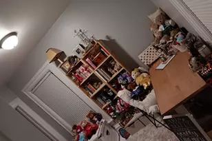 509 S Madison St, Morrison, IL 61270 - Photo 18