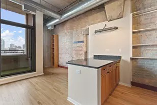 900 N Kingsbury St, Chicago, IL 60610 - Photo 12