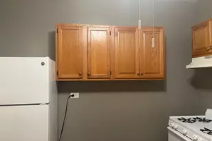 340 S Homan St, Chicago, IL 60624 - Photo 26