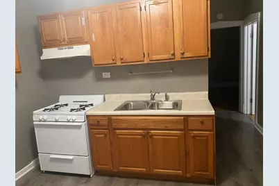 340 S Homan Street, Chicago, IL 60624 - Photo 24