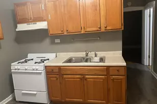 340 S Homan St, Chicago, IL 60624 - Photo 24