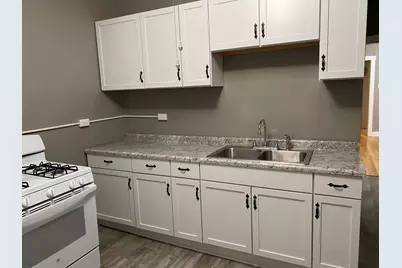 340 S Homan Street, Chicago, IL 60624 - Photo 4