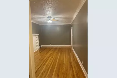 340 S Homan Street, Chicago, IL 60624 - Photo 36