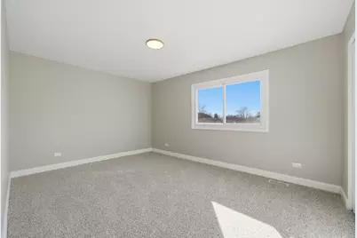 20020 S Sycamore Drive, Frankfort, IL 60423 - Photo 10