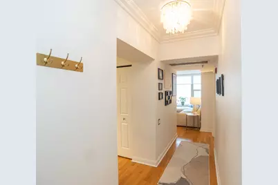 25 E Superior Street #705, Chicago, IL 60611 - Photo 16