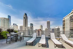 1000 N Lake Shore Dr, Chicago, IL 60611 - Photo 26