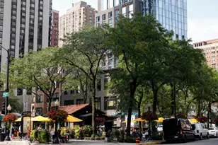 1000 N Lake Shore Dr, Chicago, IL 60611 - Photo 36