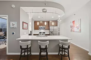 303 W Ohio St, Chicago, IL 60654 - Photo 2