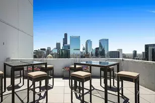 303 W Ohio St, Chicago, IL 60654 - Photo 38