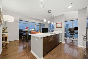 303 W Ohio St, Chicago, IL 60654 - Photo 10