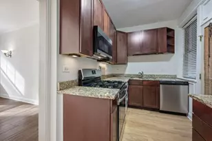 436 S Euclid Ave, Oak Park, IL 60302 - Photo 10