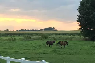 30113 1900 North Ave, Malden, IL 61337 - Photo 68