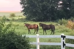 30113 1900 North Ave, Malden, IL 61337 - Photo 72