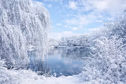 26900 W Taylor Street, Barrington, IL 60010 - Photo 4