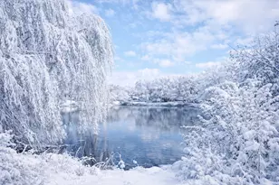 26900 W Taylor St, Barrington, IL 60010 - Photo 4