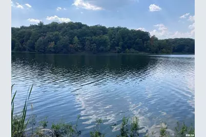 Lot 148 and Lot 501 Parrish Ridge Lane, Orangeville, IL 62939 - Photo 1