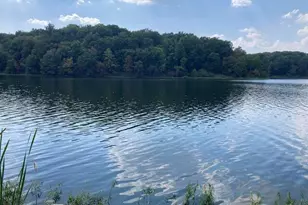 Lot 148 and Lot 501 Parrish Ridge Ln, Orangeville, IL 62939 - Photo 1