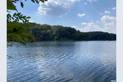 Lot 148 and Lot 501 Parrish Ridge Lane, Orangeville, IL 62939 - Photo 6