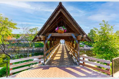 203 S Columbia Street, Naperville, IL 60540 - Photo 50