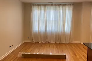 4165 S Ellis Ave, Chicago, IL 60653 - Photo 2