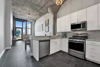 320 E 21st Street #504, Chicago, IL 60616 - Photo 4