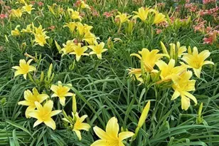 970 E Deerpath Rd, Lake Forest, IL 60045 - Photo 42