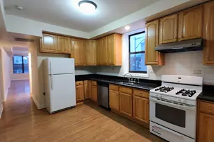 4201 S Albany Ave, Chicago, IL 60632 - Photo 4