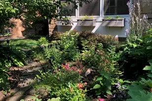 1507 Cleveland St, Evanston, IL 60202 - Photo 44