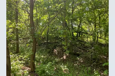 Lots 11 & 12 Ravine Drive, Spring Grove, IL 60081 - Photo 2