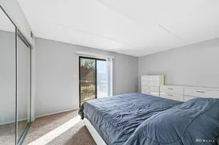 5950 Lake Bluff Dr, Tinley Park, IL 60477 - Photo 10