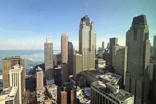 1030 N State St, Chicago, IL 60610 - Photo 22