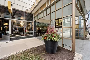 110 E Delaware Pl, Chicago, IL 60611 - Photo 2