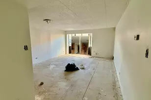 606 E Woodland Park Ave, Chicago, IL 60616 - Photo 2