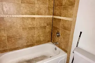 606 E Woodland Park Ave, Chicago, IL 60616 - Photo 4