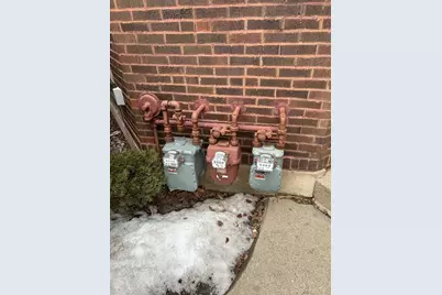 7915 S Paulina Street, Chicago, IL 60620 - Photo 10