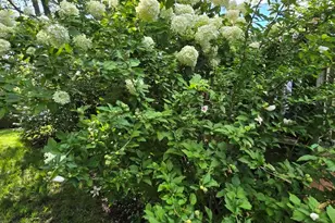 1095 Lancaster Ct, Hoffman Estates, IL 60169 - Photo 34