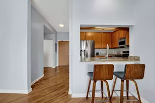 1717 S Prairie Ave, Chicago, IL 60616 - Photo 6