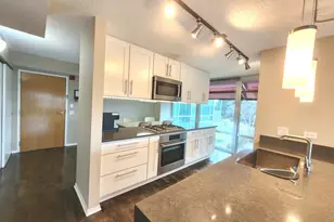 9655 Woods Dr, Skokie, IL 60077 - Photo 8