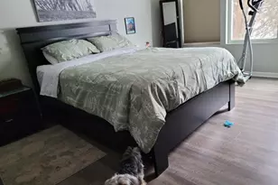 503 Metropolitan St, Aurora, IL 60502 - Photo 14