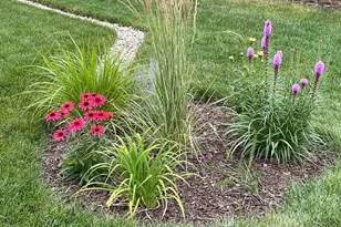 529 Meadow Ln, Lisle, IL 60532 - Photo 2