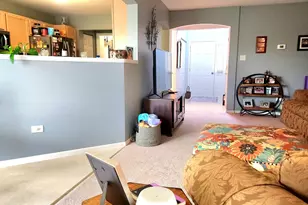 25734 S Bridle Path, Channahon, IL 60410 - Photo 10