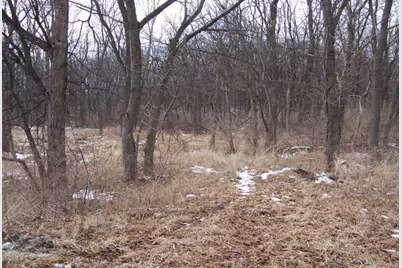 17220 Oak Meadow #5 Oak Meadow Court Court, Homer Glen, IL 60491 - Photo 4