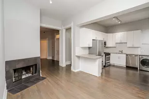 46 E Chicago Ave, Chicago, IL 60611 - Photo 4