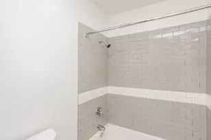 46 E Chicago Ave, Chicago, IL 60611 - Photo 8