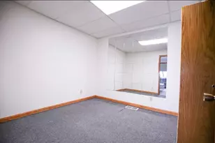 382 Keigwin Rd, Walnut, IL 61376 - Photo 32